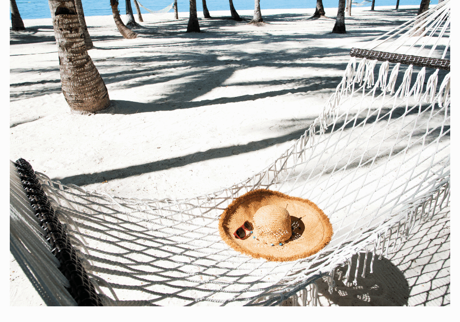 No Shady Beaches